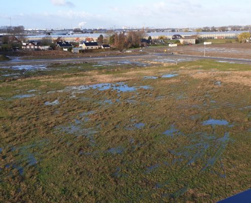 Nature’s Pride in Maasdijk