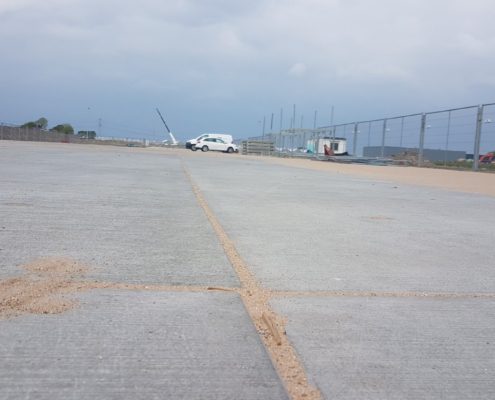 Nature’s Pride in Maasdijk