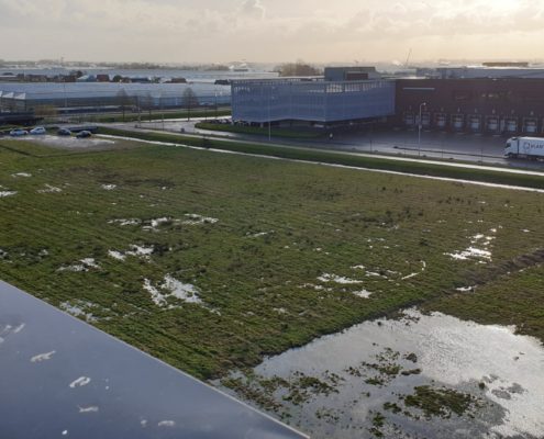Nature’s Pride in Maasdijk