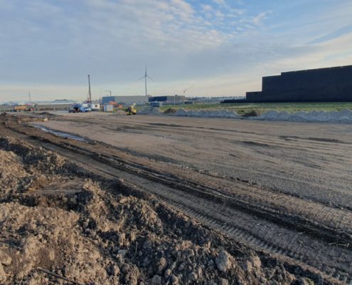 Nature’s Pride in Maasdijk