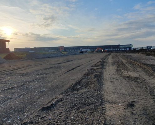 Nature’s Pride in Maasdijk