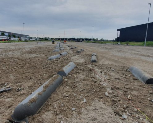 Nature’s Pride in Maasdijk