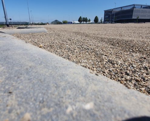 Nature’s Pride in Maasdijk