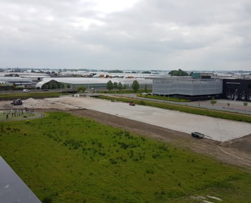 Nature’s Pride in Maasdijk